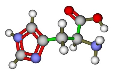 Essential amino acid histidine molecular structure clipart