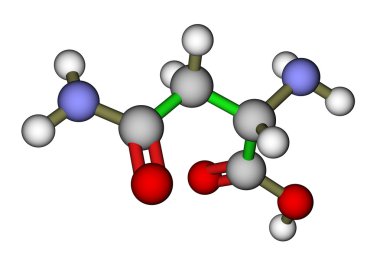 amino asit asparagine 3d moleküler yapısı