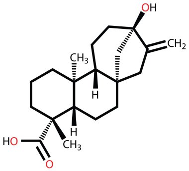 steviol yapısal formülü. tatlı stevia planı kurucu