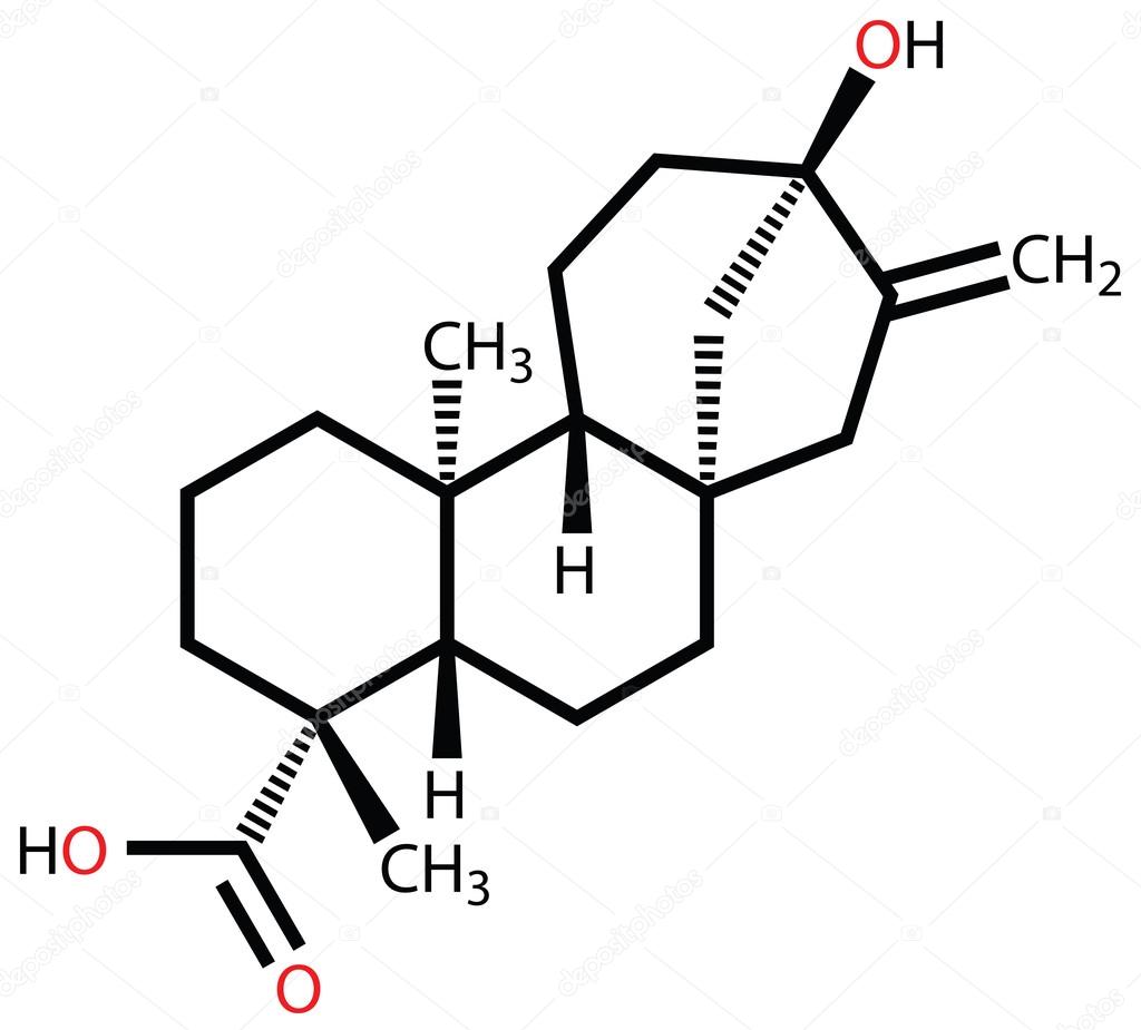 Steviol structural formula. The constituent of sweet stevia plan
