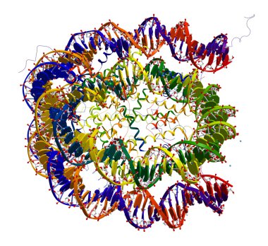 Nucleosome core particle structure clipart