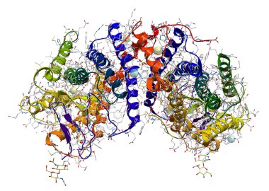 Rhodopsin (son derece duyarlı ışık pigment dahil