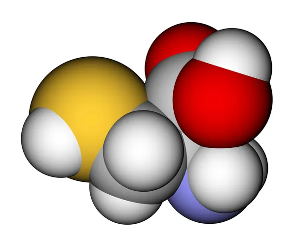 氨基酸半胱氨酸3D分子模型 — 图库照片