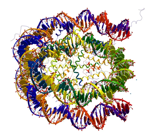 Nucleosome podstawowych cząstek struktury — Zdjęcie stockowe
