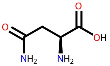 amino asit asparagine yapısal formülü