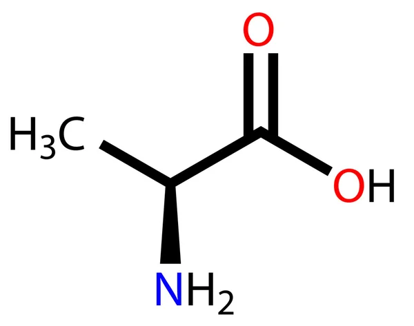 Aminoácido alanina fórmula estructural — Vector de stock