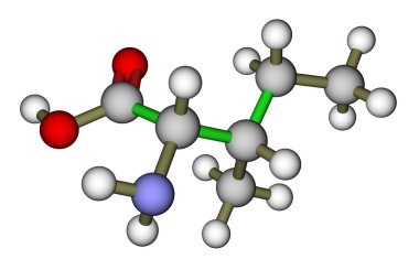 esansiyel amino asit isoleucine moleküler yapısı