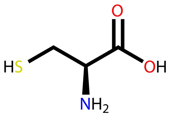 Amino acid cysteine structural formula — Stock Vector