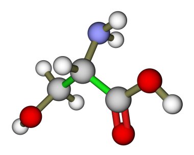 amino asit serin moleküler yapısı
