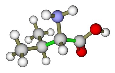 esansiyel amino asidi Valin moleküler yapısı
