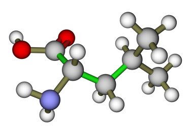 Essential amino acid leucine molecular structure clipart