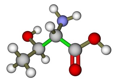 esansiyel amino asit treonin moleküler yapısı