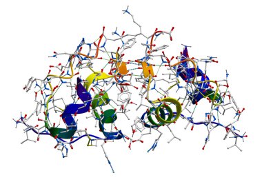 Insulin molecular structure clipart