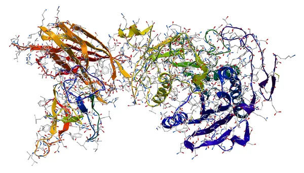 酵素写真素材、ロイヤリティフリー酵素画像|Depositphotos®