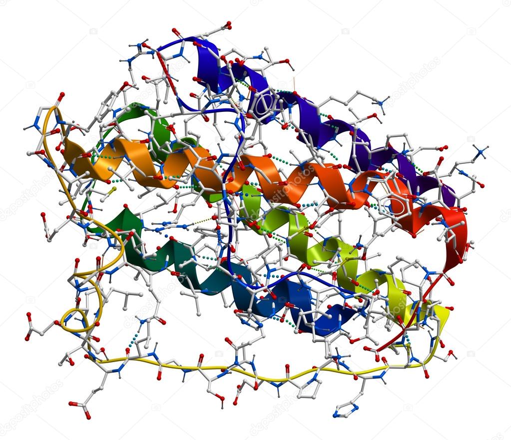 Protein structure Stock Photos, Royalty Free Protein structure Images |  Depositphotos