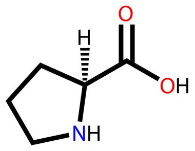 amino asit prolin yapısal formülü