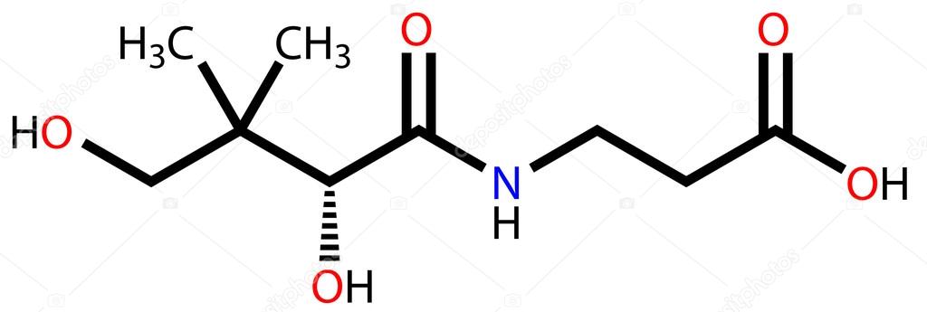 Pantothenic acid (vitamin B5) structural formula Stock Vector by  ©Leonid_Andronov 13283688