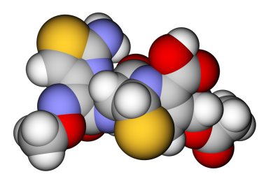 sefotaksim, sefalosporin antibiyotik. moleküler yapısı