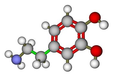 Dopamin moleküler yapısı