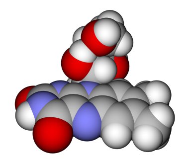 riboflavin boşluk doldurma moleküler model