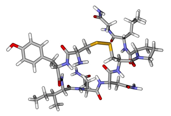 Oxytocin "Liebeshormon" klebt molekulares Modell an — Stockfoto