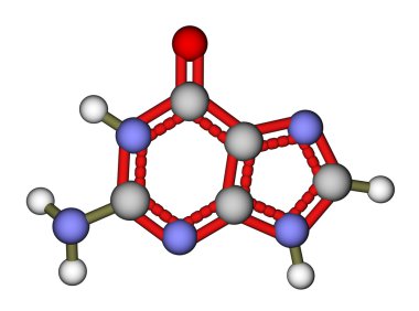 nükleobazından guanin moleküler yapısı