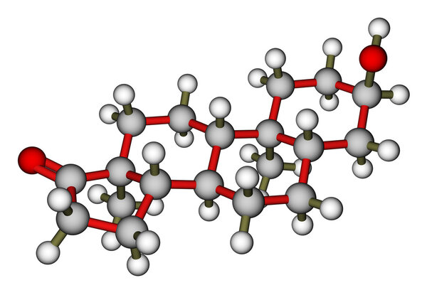 Androsterone, a male sex hormone. Molecular model