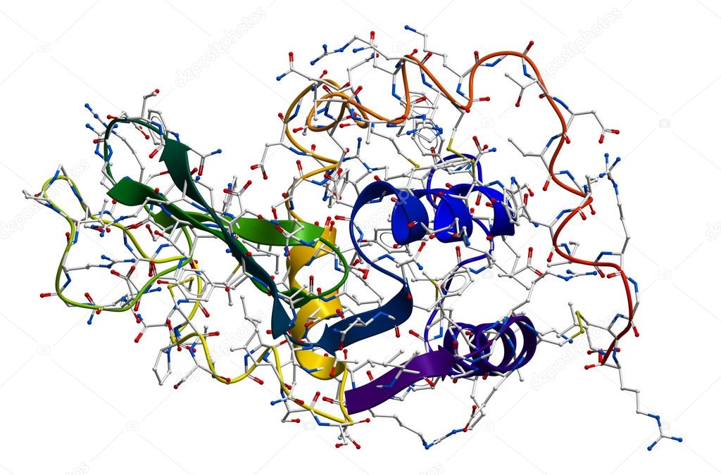 Lysozyme, the natural antibacterial enzyme contained in saliva, Stock