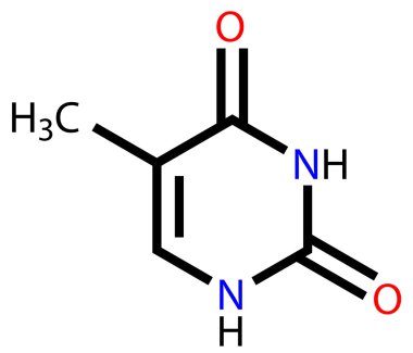 Nucleobase thymine structural formula clipart