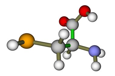 amino asit selenocysteine 3d moleküler yapısı