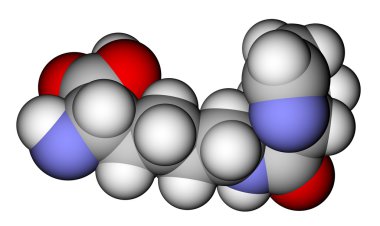 Amino acid pyrrolysine space-filling molecular model clipart