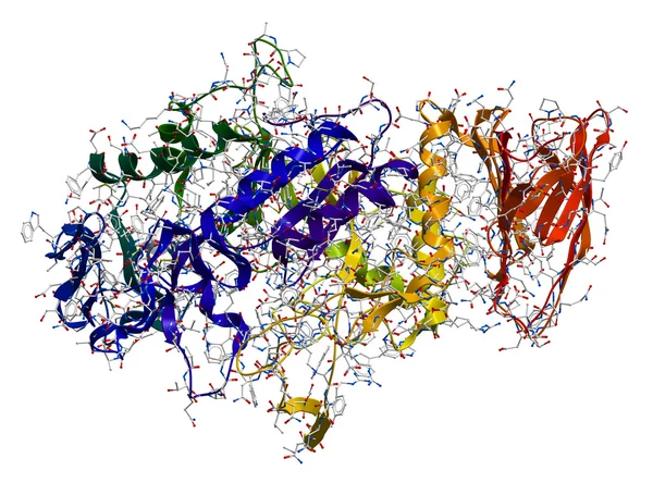 Alpha-amylase, een enzym dat hydrolyseerd polysacchariden, die een — Stockfoto