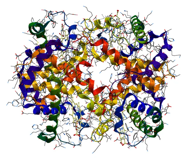 Молекула гемоглобіну ізольована на білому тлі — стокове фото