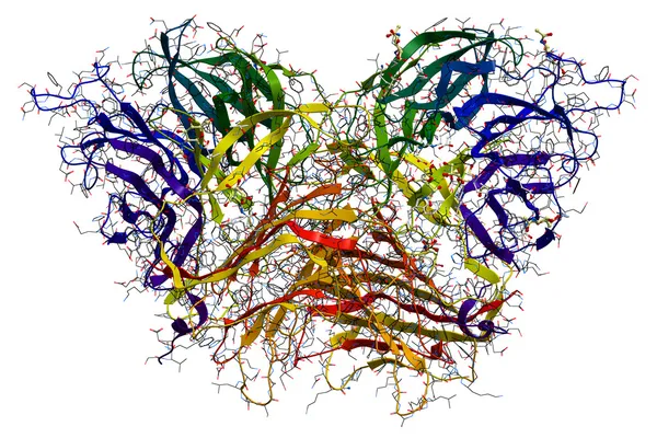 invertase, hidroliz (Çözümleme) ey tromboksan bir enzim