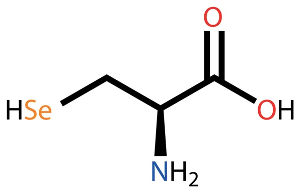 Formule structurelle de sélénocystéine d'acide aminé — Image vectorielle