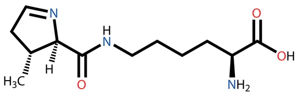 Formule structurelle de la pyrrolysine d'acide aminé — Image vectorielle