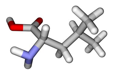 Essential amino acid leucine 3D molecular model clipart