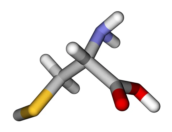 氨基酸半胱氨酸3D分子模型 — 图库照片