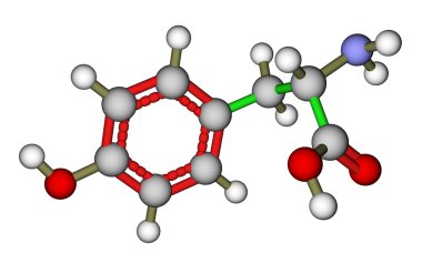 amino asit tirozin moleküler yapısı
