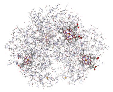 İnsan hemoglobin (hemes topları gösterdi ile deoxyhemoglobin) bir