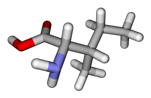 Эфирная аминокислотная изолейциновая трехмерная молекулярная модель — стоковое фото