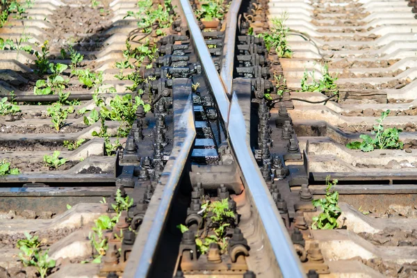 Swingnose železniční přejezd. Pohyblivý bod žába — Stock fotografie