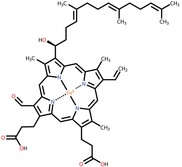 Heme A, the important component of hemoglobin and myoglobin