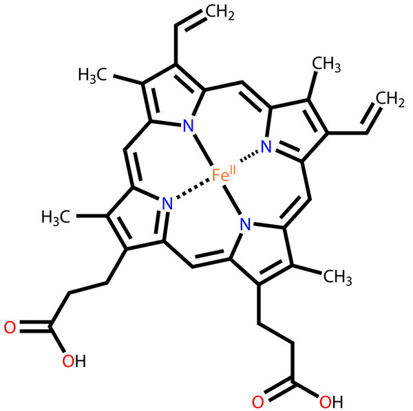 Heme B, the important component of hemoglobin and myoglobin