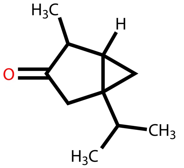 Thujon, Verbindung mit Mentholgeruch, Bestandteil von Absinth — Stockvektor