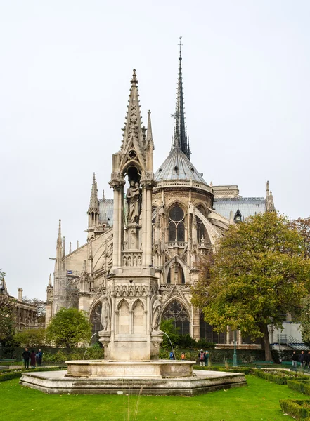 Notre Dame de Paris, vista desde la Plaza Jean-XXIII — Foto de Stock