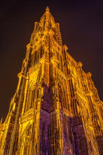 Blick auf das Straßburger Münster vom Boden aus. Elsass, Frankreich — Stockfoto