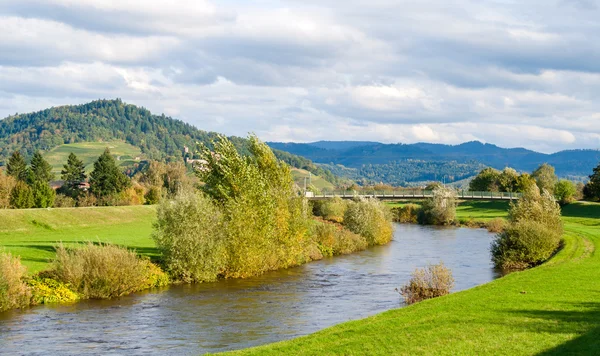 Veduta del fiume Kinzig nelle montagne della Foresta Nera. Germania - Ba — Foto Stock