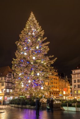 Strazburg place kleber, Noel ağacı