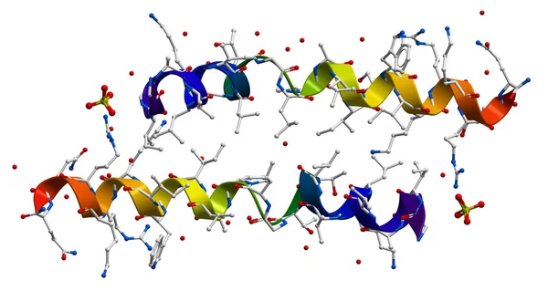 メリチン apitoxin （蜂毒の主要な活性成分) — ストック写真